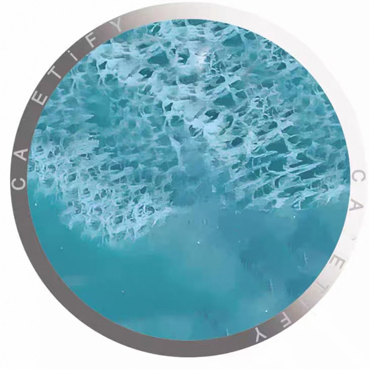 Chic Card Holder Collection