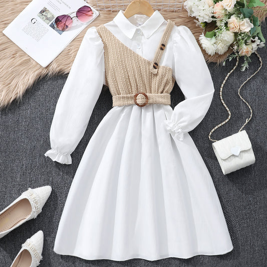 Elegant Two-Tone Dress with Belt