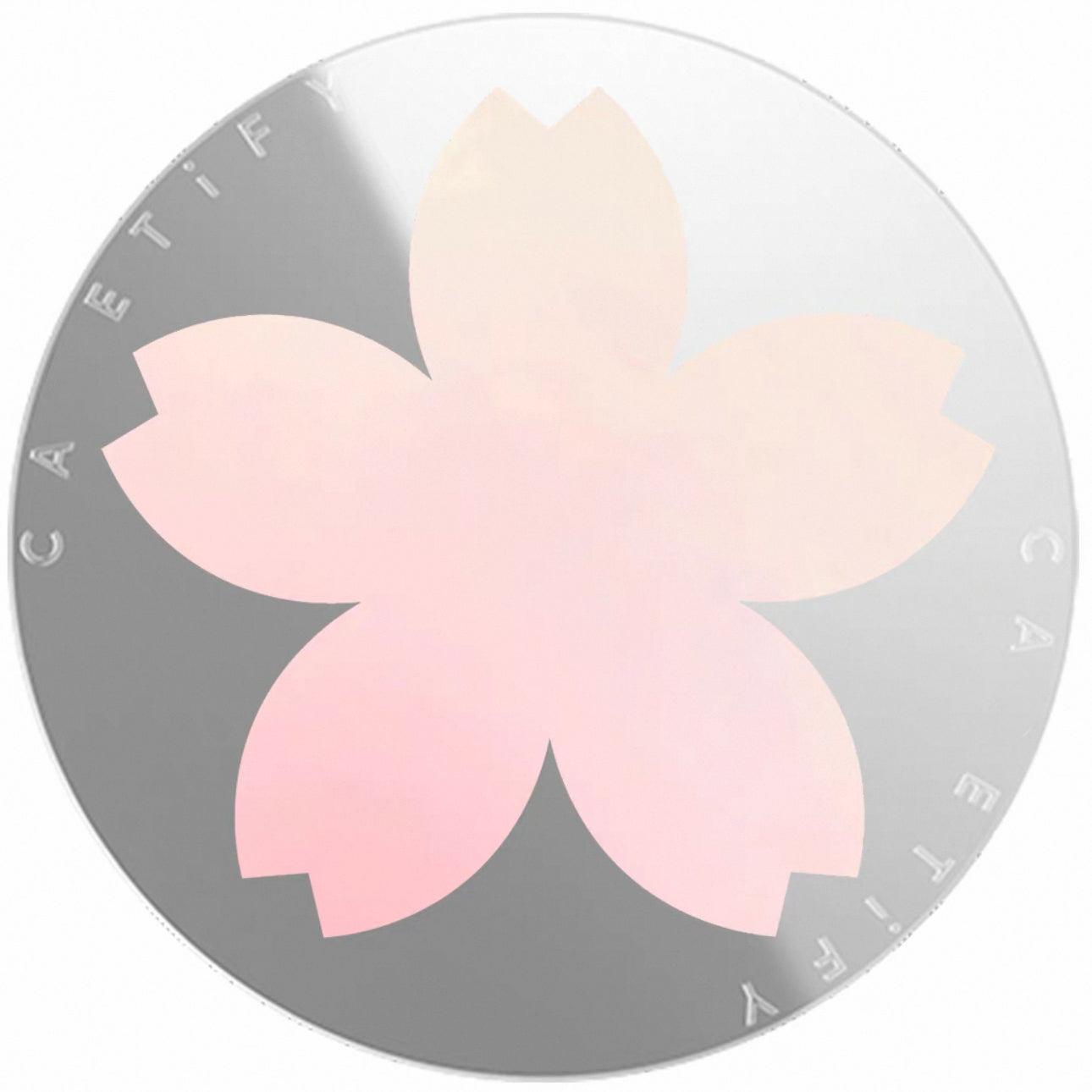 Chic Card Holder Collection